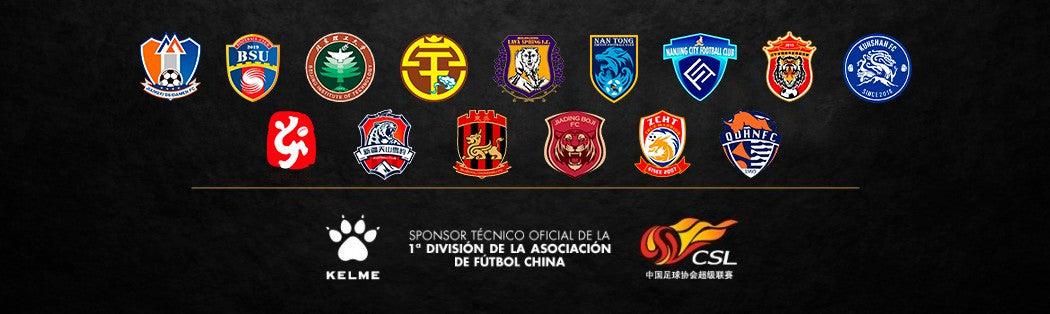 1ª División China