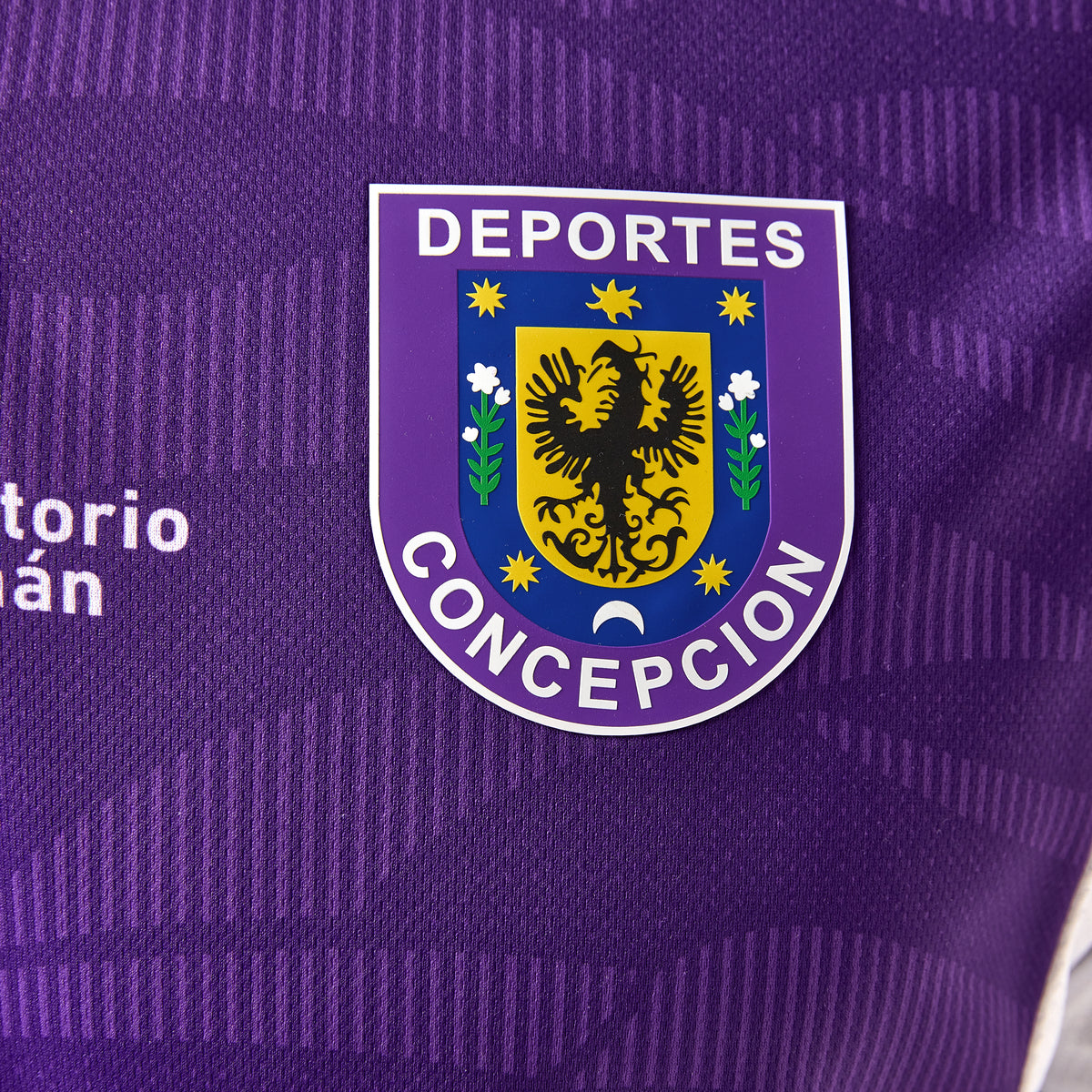 CAMISETA DEPORTES CONCEPCIÓN 1ª EQUIPACIÓN 25-26 MORADO