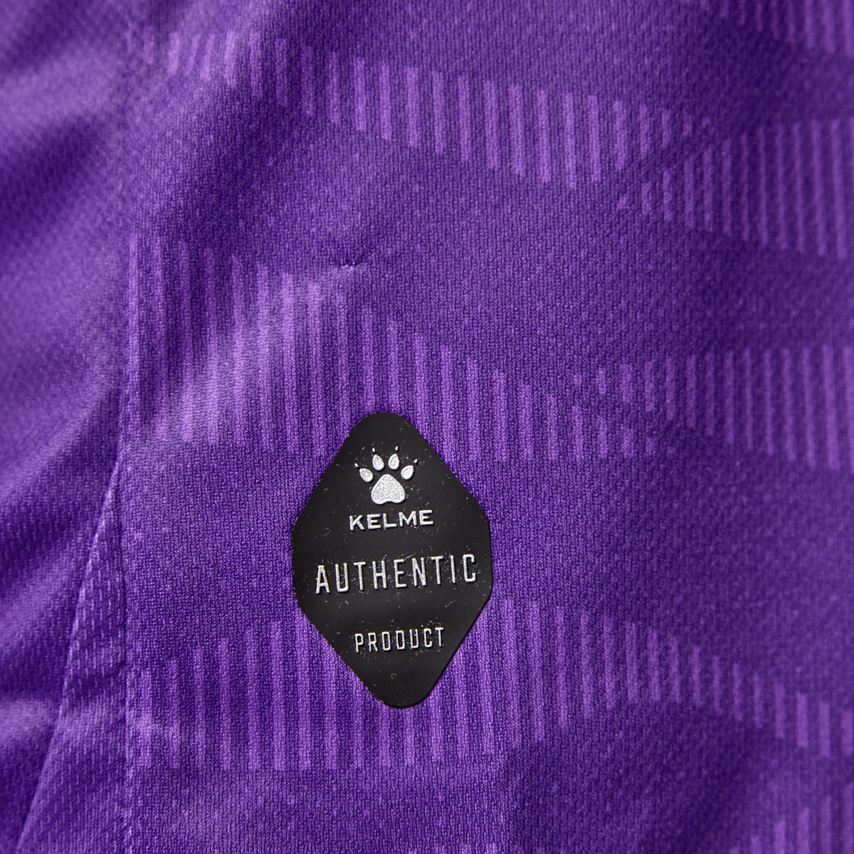 CAMISETA DEPORTES CONCEPCIÓN 1ª EQUIPACIÓN 25-26 MORADO