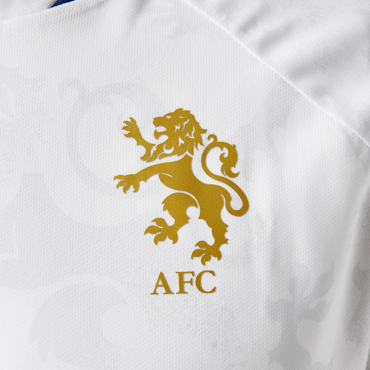 CAMISETA ALBION FC 2ª EQUIPACIÓN 25-26 BLANCO
